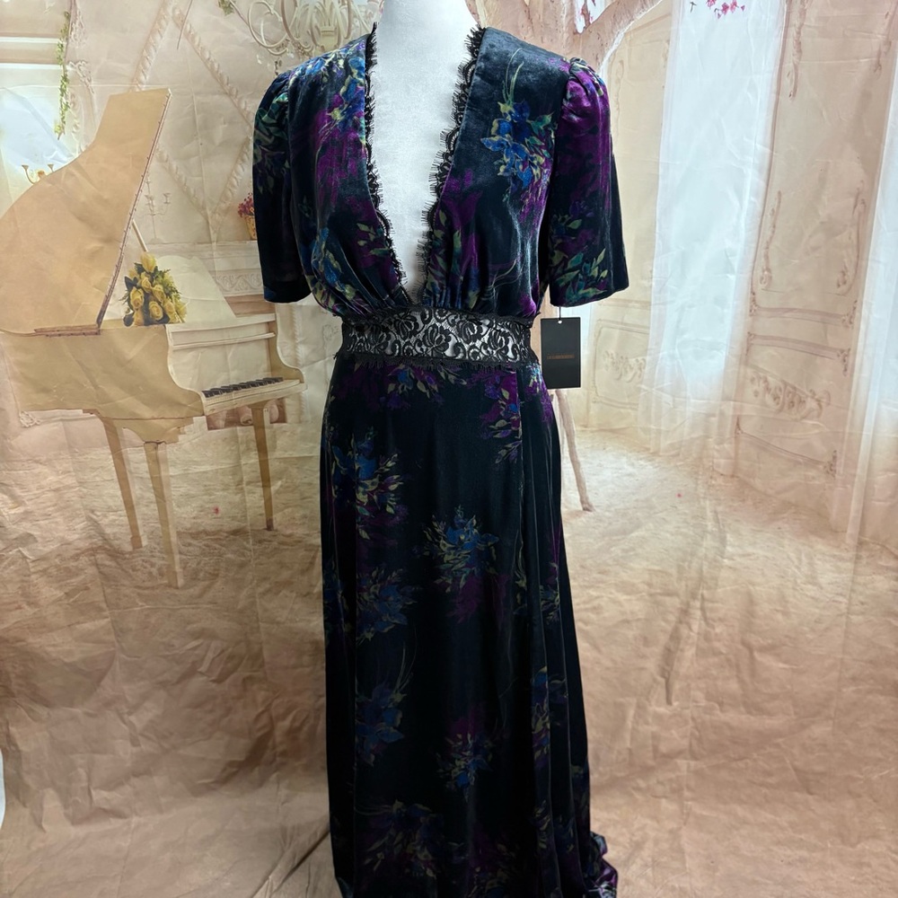 NEW Jill Stuart Women's Lace Inset Velvet Floral Maxi Dress - Picture 7 of 13